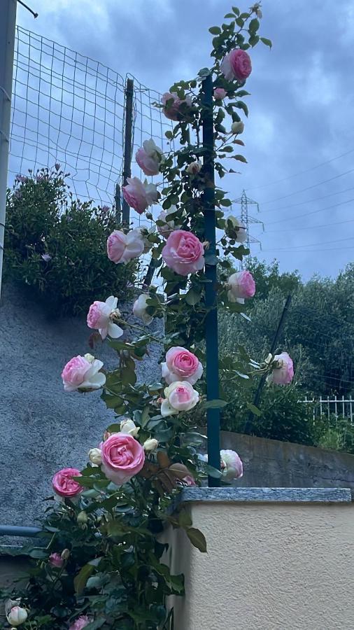 Gli Agrumi Giustenice Luaran gambar